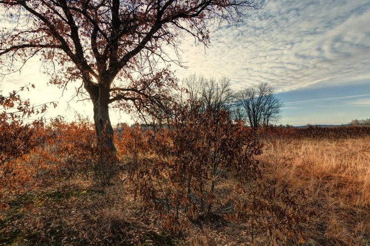 Mazomanie, Wisconsin Real Estate & Homes for Sale